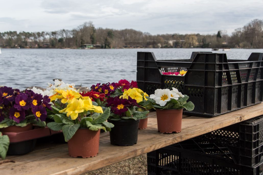 Main-Kinzig Genuss & Gartenlust Strandbad Spessartblick