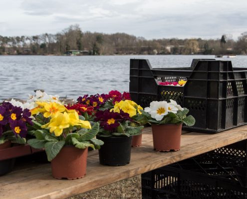 Main-Kinzig Genuss & Gartenlust Strandbad Spessartblick