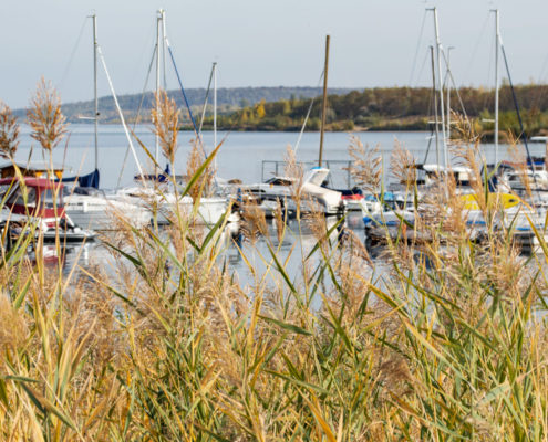Mücheln Geiseltalsee