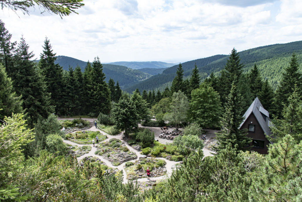 Urlaub in Oberhof Panorama Hotel